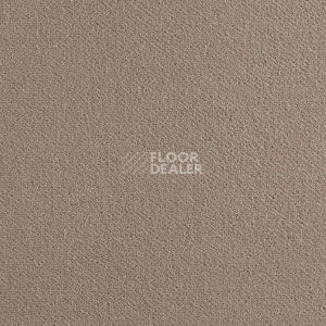 Ковролин Brintons True Velvet True Velvet Chrome фото 1 | FLOORDEALER
